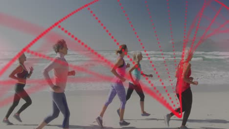 Animation-of-spinning-dna-strand-over-caucasian-senior-group-of-woman-running-on-the-beach