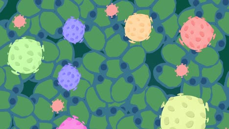 Animation-of-colorful-viruses-over-green-cells-on-black-background