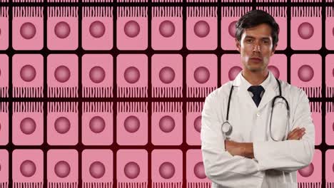 Animation-of-biracial-male-doctor-over-pink-cells-on-black-background