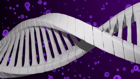 Animation-of-dna-over-purple-cells-on-violet-background