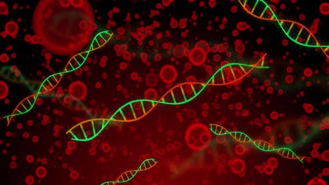Animation-Von-DNA-über-Roten-Blutkörperchen-Auf-Rotem-Hintergrund