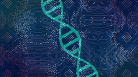 Animation-Eines-DNA-Strangs-über-Einer-Computerplatine-Auf-Schwarzem-Hintergrund