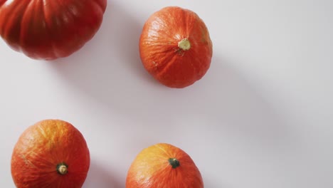 Video-of-multiple-orange-pumpkins-lying-on-white-background