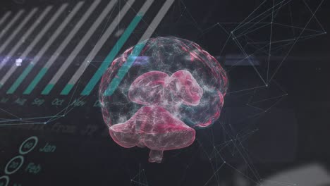 Animation-of-brain-over-graphs-and-connections-on-black-background