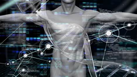 Animation-Von-Verbindungen,-DNA-Strang-Und-Datenverarbeitung-über-Den-Menschlichen-Körper