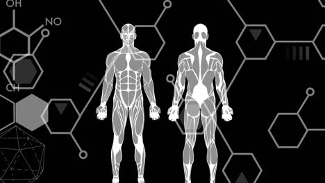 Animación-De-Estructuras-Químicas,-Procesamiento-De-Datos-Científicos-Y-Dos-Cuerpos-Humanos.