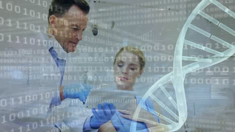Animation-of-graphical-dna-helix-and-binary-data-over-caucasian-doctors-discussing-over-digital-pc