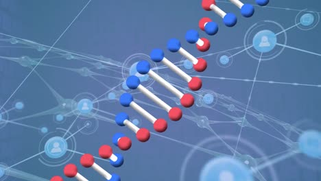 Animation-of-dna-strand-over-network-of-connections-with-icons-on-blue-background