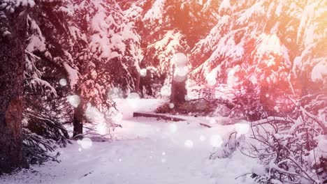 Animation-of-digital-lens-flare-and-snow-falling-on-snow-covered-road-amidst-pine-trees-in-forest