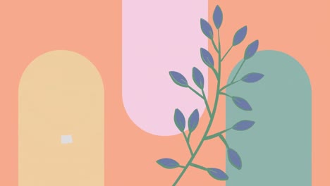 Animation-Von-Formen-Und-Pflanzen-Auf-Rosa-Hintergrund