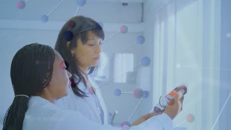 Animation-of-dna-against-asian-female-doctors-checking-blood-bag-in-hospital