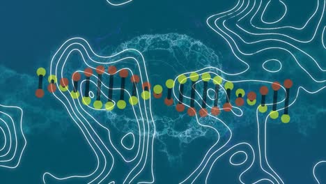 Animation-Eines-DNA-Strangs-über-Formen-Und-Gehirn