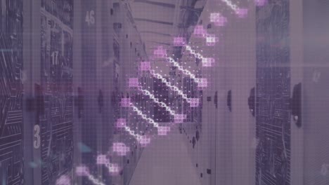 Animation-Von-Zahlen-Und-DNA-Strang-über-Dem-Serverraum
