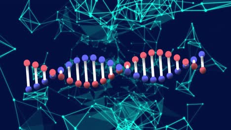Animation-Der-DNA-Struktur-Mit-Netzwerkdesign-Im-Hintergrund