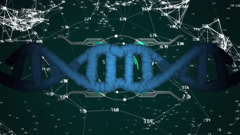 Animation-of-dna,-connecting-dots-with-hud-processing-on-digital-interface