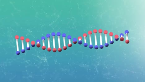 Animation-of-dna-structure-with-connecting-dots-in-background,-loop-video
