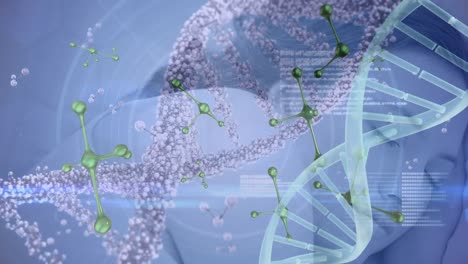 Animation-Einer-DNA-Kette,-Die-Sich-über-Molekülen-Auf-Blauem-Hintergrund-Dreht