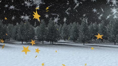 Animation-of-stars-over-winter-scenery-with-fir-trees