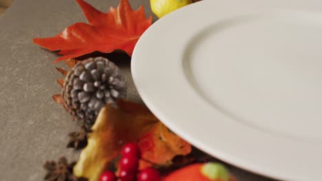 Video-of-plate-with-autumn-leaves-and-decoration-lying-on-grey-surface