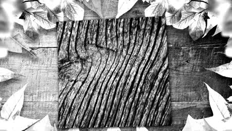 Animation-of-plant-leaves,-wooden-boards-and-changing-wood-grain-pattern,-black-and-white