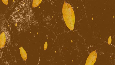 Animation-of-brown-autumn-leaves-falling-over-moving-organic-brown-marble-pattern