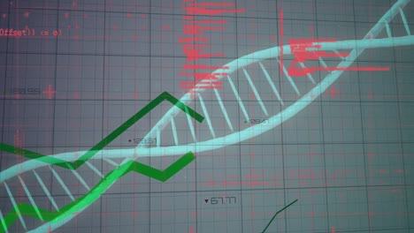 Animation-of-data-processing-over-dna-structure-and-green-graphs-moving-against-grey-background