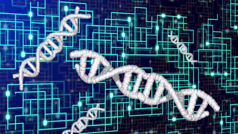 Animation-Von-DNA-Strängen-über-Ein-Netzwerk-Von-Verbindungen