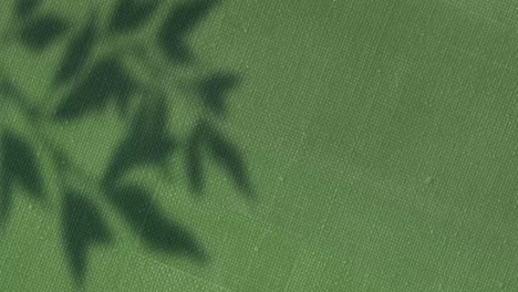 Animation-of-leaf-shadows-swaying-over-changing-green-canvas-texture
