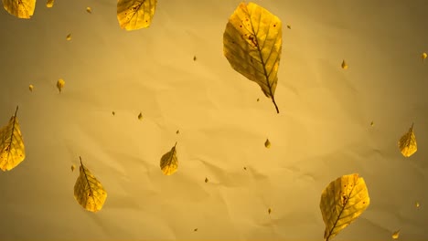 Animation-of-yellow-autumn-leaves-falling-over-yellow-textured-paper-background