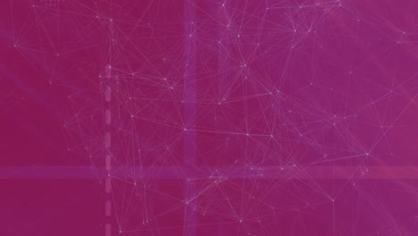 Animation-of-network-of-connections-moving-against-pink-background
