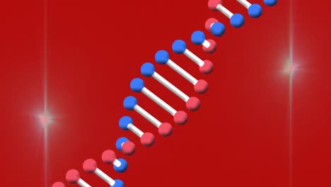 Animation-of-dna-structure-spinning-and-two-light-spots-against-red-background
