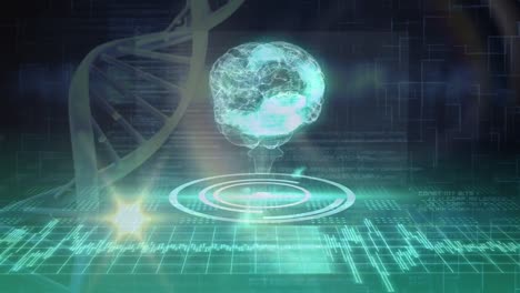 Animation-Der-DNA-Struktur-Und-Des-Gehirns,-Das-Sich-über-Die-Datenverarbeitung-Vor-Grünem-Hintergrund-Dreht