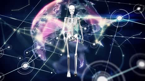 Animation-Von-Verbindungen-Und-Skelett-über-Dem-Globus