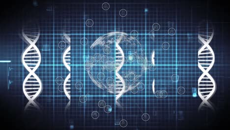Animation-Von-DNA-Strukturen-Und-Einem-Globus,-Der-Sich-Vor-Einem-Herzfrequenzmesser-Auf-Blauem-Hintergrund-Dreht