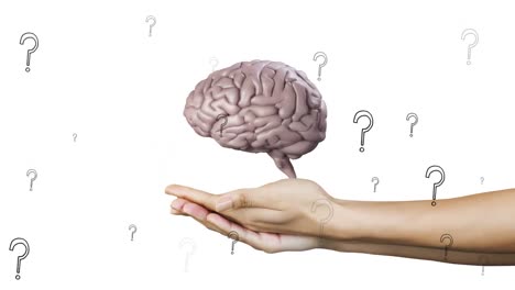 Animation-of-question-marks-over-hands-holding-digital-brain-on-white-background