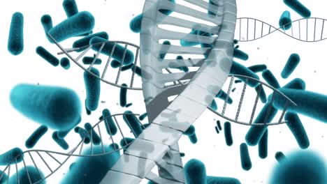 Animation-Von-DNA-Strängen-über-Zellen-Auf-Weißem-Hintergrund