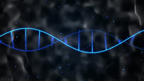 Animation-Eines-DNA-Strangs-über-Flecken