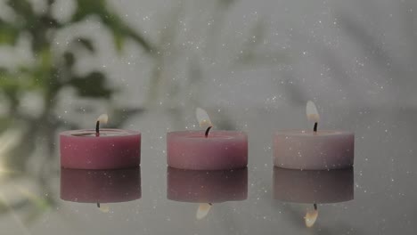 Animation-of-light-spots-over-candles-and-plant