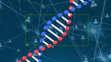 Animation-Der-Sich-Drehenden-DNA-Struktur-Und-Des-Netzwerks-Von-Profilsymbolen-Vor-Blauem-Hintergrund