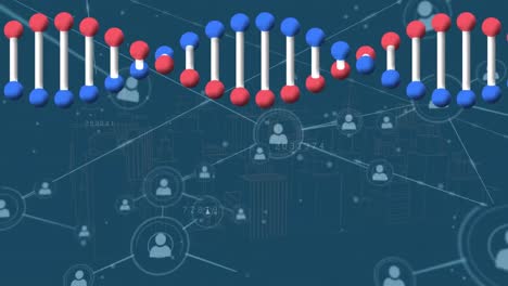 Animation-Des-Netzwerks-Von-Verbindungen-über-DNA-Strang