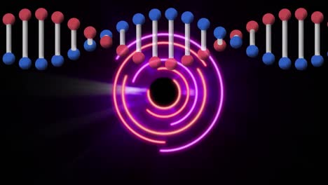 Animation-Der-DNA-Helix-über-Mehrfarbigen,-Sich-Bewegenden-Kreisen-Und-Linsenblendung-Vor-Schwarzem-Hintergrund