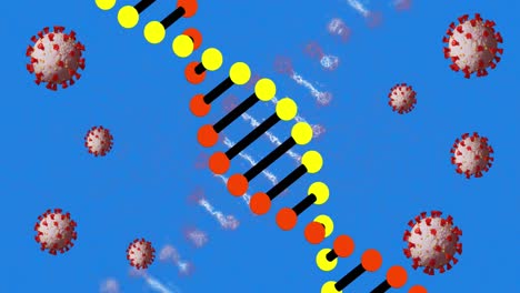 Digitale-Animation-Mehrerer-DNA-Strukturen,-Die-Sich-Vor-Menschlichen-Symbolen-Auf-Blauem-Hintergrund-Drehen