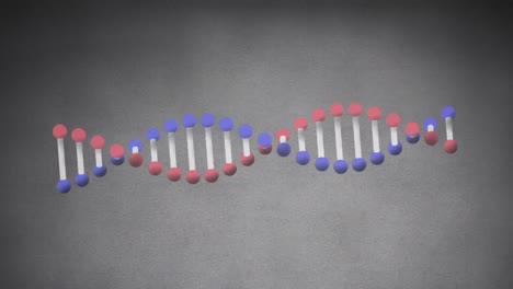 Animation-Eines-DNA-Strangs,-Der-Sich-Auf-Grauem-Hintergrund-Dreht