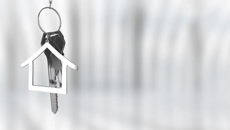 Animation-of-keys-with-house-keychain-over-blurred-background