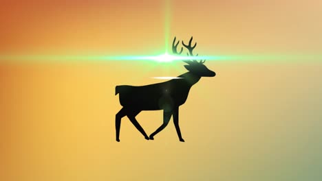 Animation-of-light-spots-over-reindeer-walking