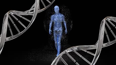 Animation-Von-DNA-Strängen-über-Digitalem-Menschen