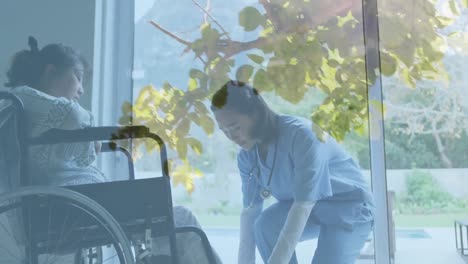 Animation-of-leaves-over-asian-nurse-with-patient-in-wheelchair