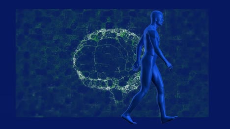 Animation-Des-Digitalen-Gehirns-über-Digitalem-Menschenmodell-Auf-Blauem-Hintergrund