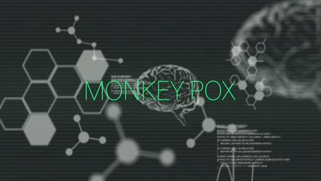 Animation-of-monkey-pox-text-in-green-and-interference-over-brains-and-medical-data-processing