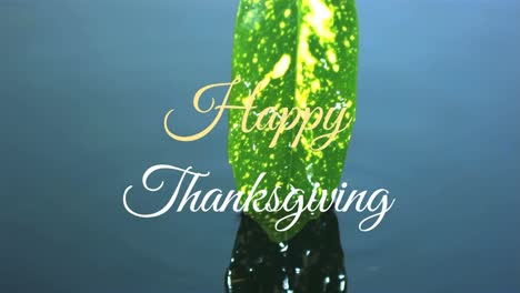 Animation-of-happy-thanksgiving-text-over-leaf